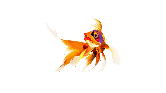 Geometric Goldfish by Justin Maller