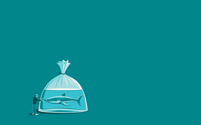 Man feeds shark in a plastic bag