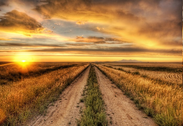 Sunset over a dirt road in a field