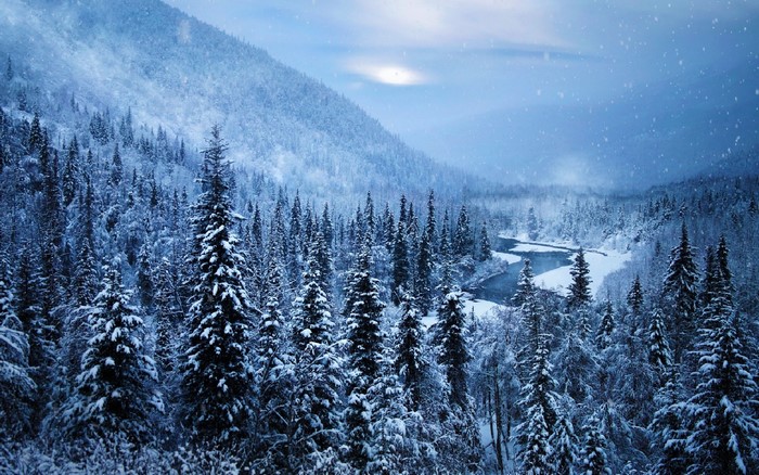 Snowy Winter Landscape in Alaska with River and Forest
