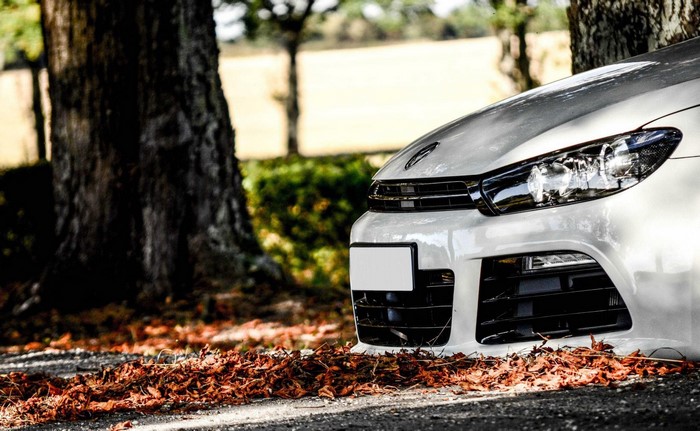 White Volkswagen Scirocco parked near trees with fallen leaves