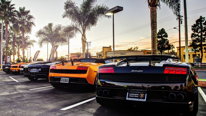 Lamborghini cars parked in a lot with palm trees