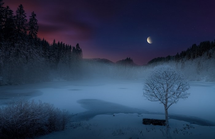 Winter landscape with moonlit lake and snow-covered trees
