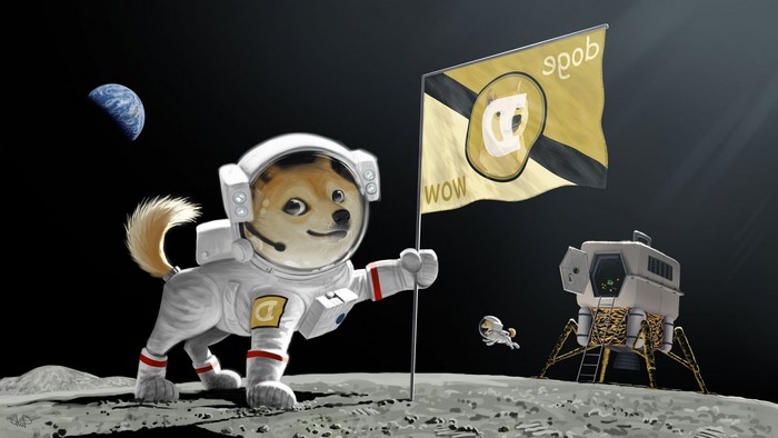 Doge in Space on the Moon with Flag