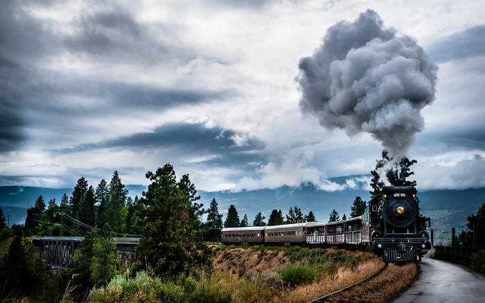 Steam locomotive pulling train through forested landscape