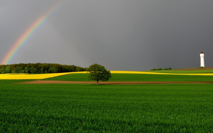 Rainbow over farmland with a lone tree and water tower