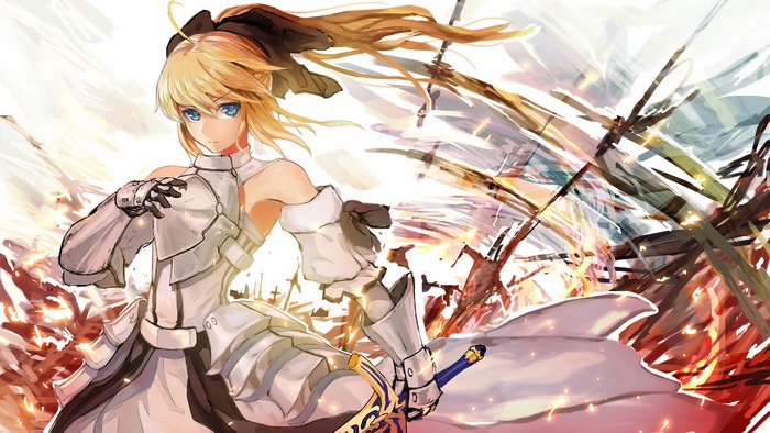 Saber Lily from Fate Series