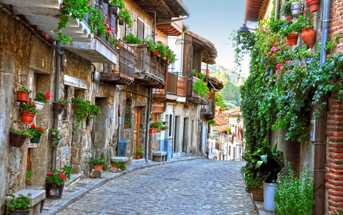 Cobblestone street lined with old stone buildings and flowers