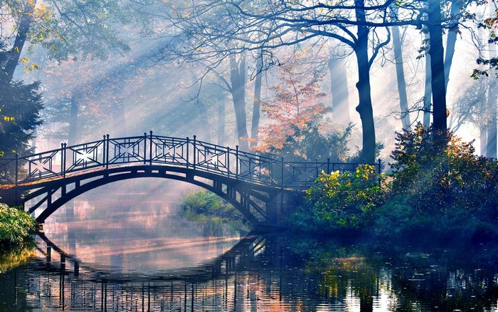 Bridge over a misty river in a forest