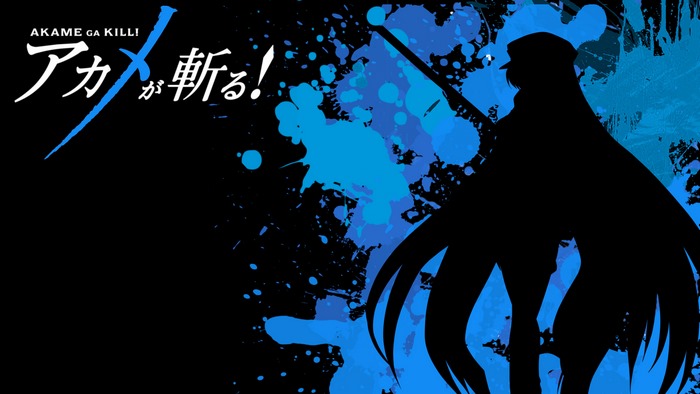 Akame ga Kill! Esdeath Silhouette