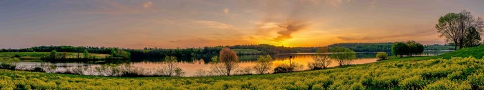 Sunset over a lake with yellow flowers and trees