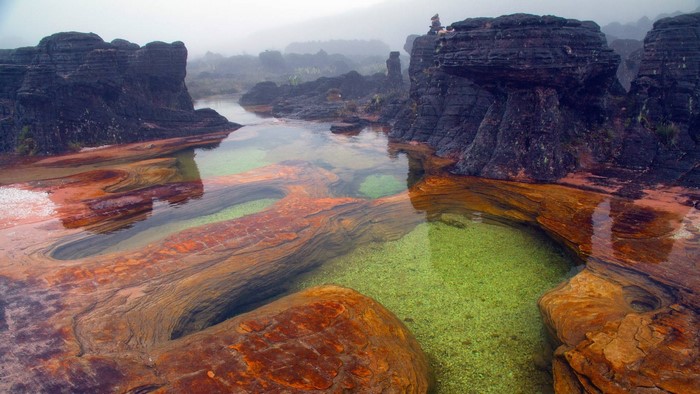 Mount Roraima Misty Rocky Landscape in Venezuela