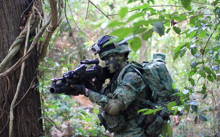Soldier with SAR 21 assault rifle in forest