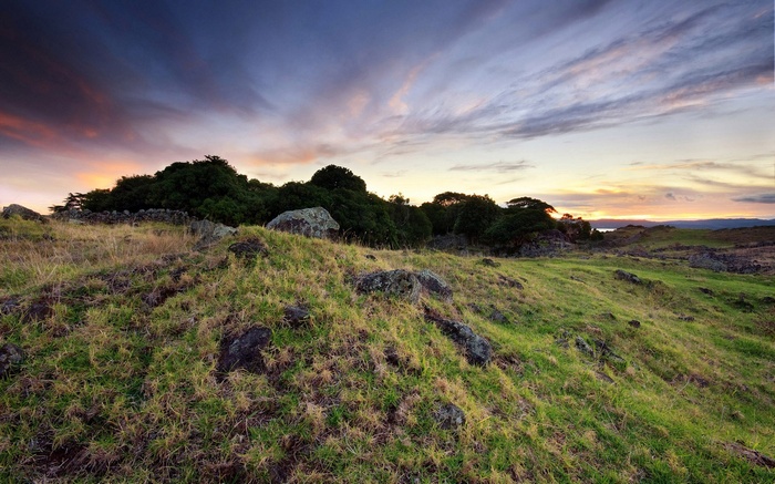 Grassy hill with rocks and trees at sunset