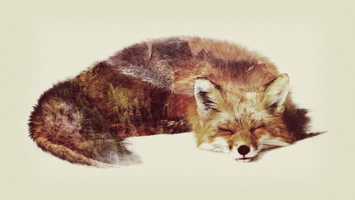 Double exposure of a sleeping fox with mountains and forest