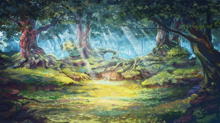 Sunlight filtering through trees in a forest clearing