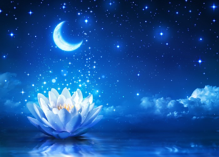 Lotus flower under a starry night sky with a crescent moon