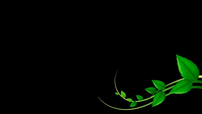 Green leaves on black background digital art