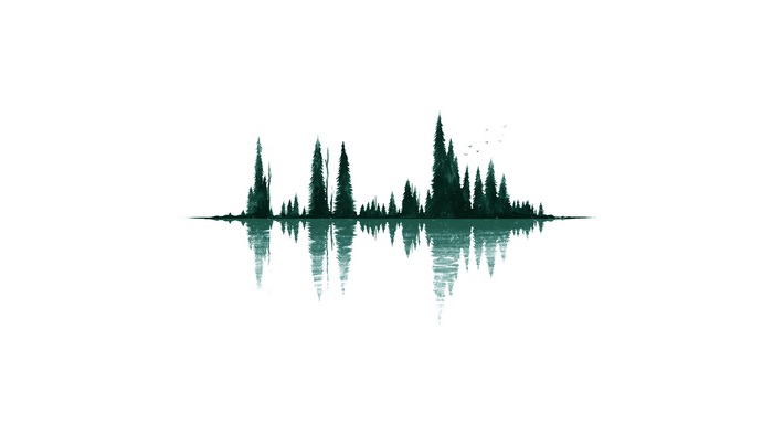 Minimalist forest reflection with birds