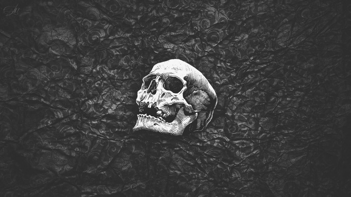 Monochrome abstract artwork of a skull