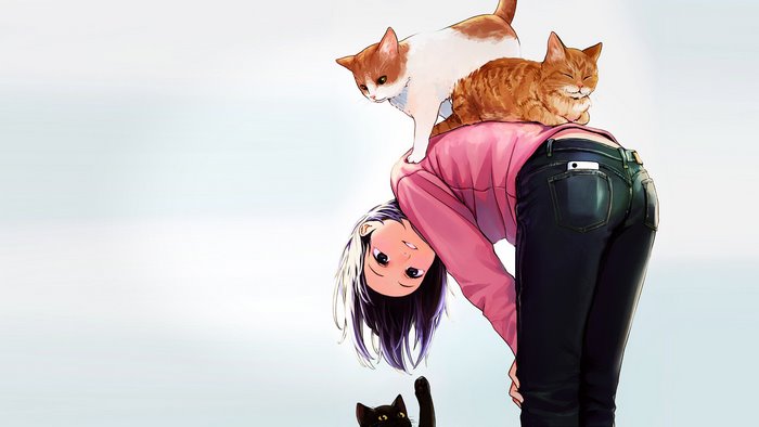 Anime girl with cats on her back