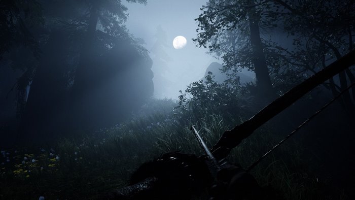 Far Cry Primal bow in foggy forest at night