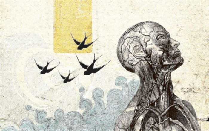 Anatomical illustration of a human head with swallows flying