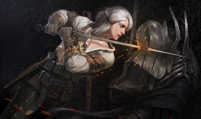 Ciri from The Witcher 3 Wild Hunt fighting