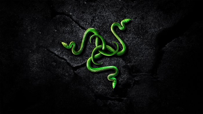 Razer logo with intertwined green snakes on dark rock