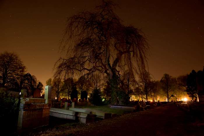 Spooky Cemetery at Night with Large Tree