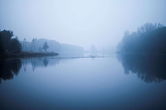 Misty Blue Fog Over Calm Riverside Forest
