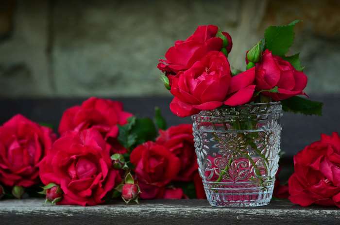 Red Roses in a Glass Vase 4K