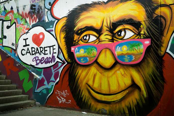 Graffiti art of a monkey wearing sunglasses with a beach reflection