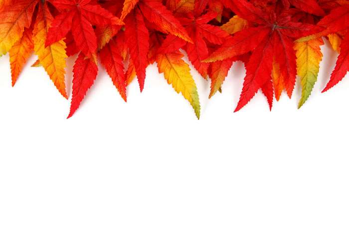 Autumn leaves border with red, orange, and yellow colors