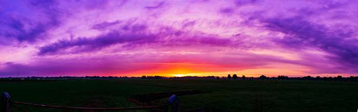 Panoramic sunset over a field
