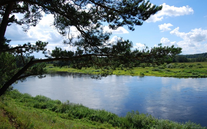 River flowing through a green landscape under a cloudy sky