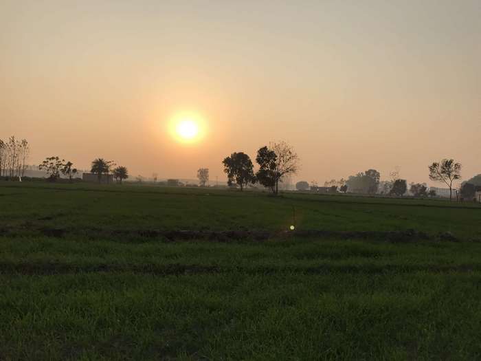 Sunrise over agricultural fields in Punjab village 4K