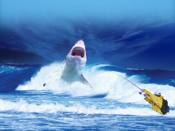 Fisherman in Yellow Jacket Faces Jumping Shark in Ocean 4K