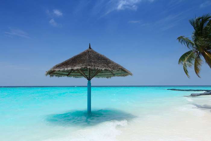 Tropical beach with thatched umbrella and palm tree