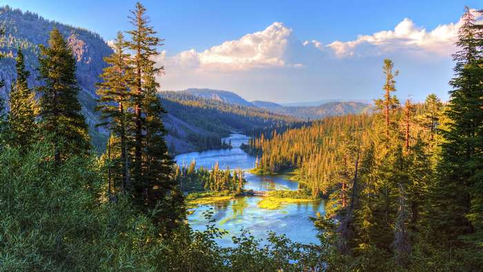 River flowing through forest with mountains and clouds