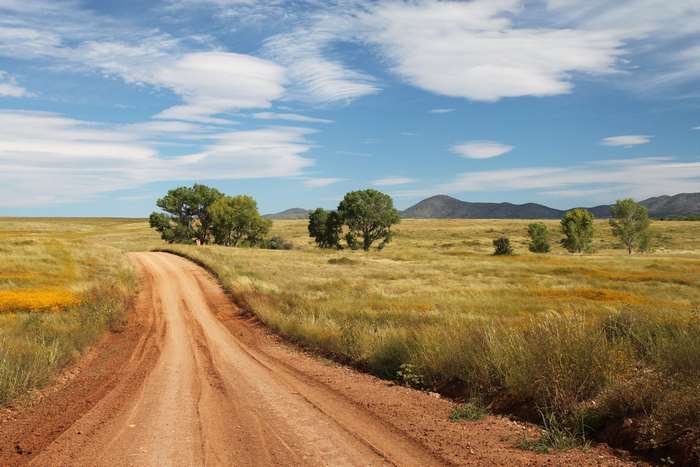 Countryside dirt road with trees and mountains
