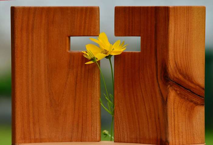 Wooden Cross with Yellow Flower Symbolizing Faith