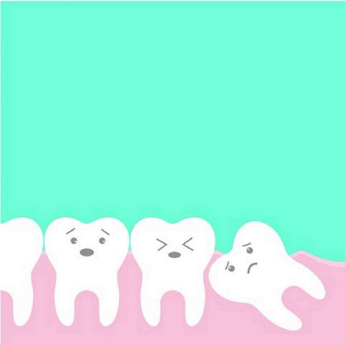 Cartoon teeth in gums, dental health 4K
