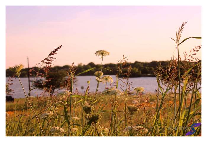 Nature photography 4K
