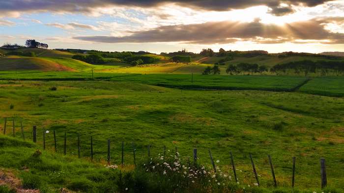 Rolling green hills at sunset with sunbeams through clouds