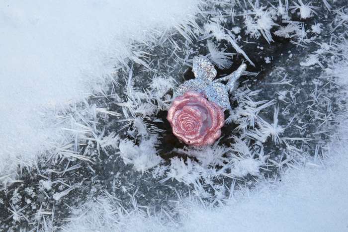 Glittering Rose Bauble on Ice with Frost
