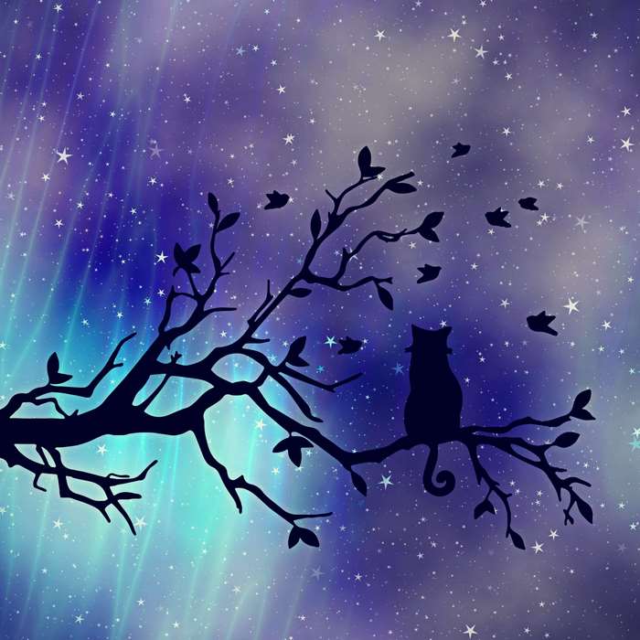 Silhouette of a cat on a tree branch under a starry sky