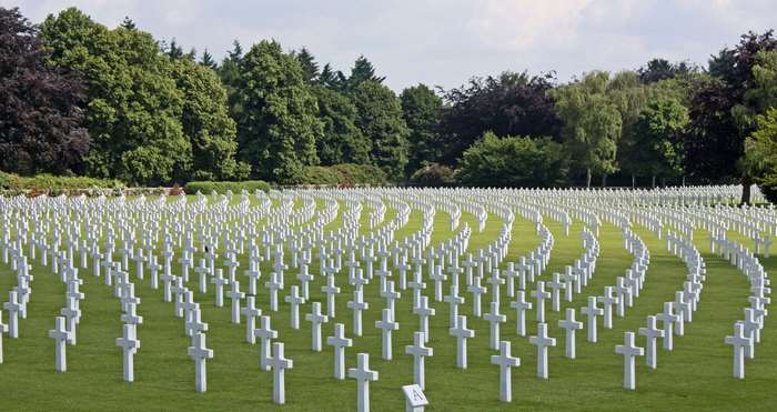 Rows of white crosses in a cemetery with trees