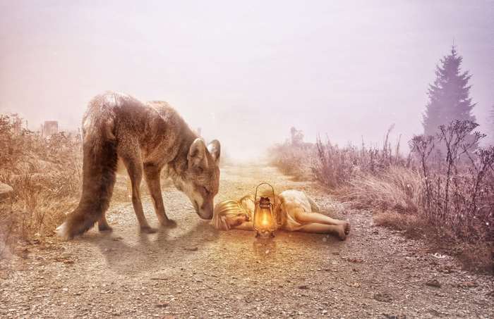 A wolf approaches a sleeping girl with a lantern