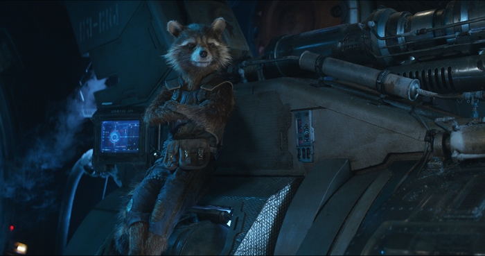 Rocket Raccoon from Avengers Infinity War